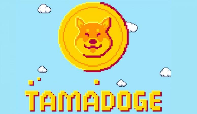 Tamadoge — ännu ett försök till hype på Dogecoin eller en stor nyhet i världen av NFT- -spel?