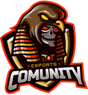 Comunity Esports NA (callofduty)