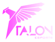 Talon Esports(counterstrike)