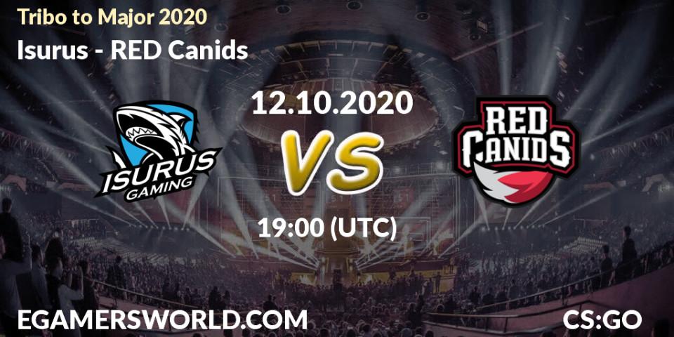 Isurus vs RED Canids: Match Prediction. 12.10.2020 at 19:00, Counter-Strike (CS2), Tribo to Major 2020