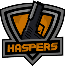 Haspers Team(counterstrike)