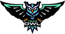 Team OWL (counterstrike)