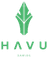 HAVU Gaming(dota2)