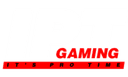 IPT Gaming (dota2)