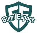 Sumi Esport (dota2)