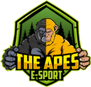 The Apes E-Sport (dota2)