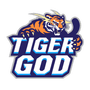 Tiger God (dota2)