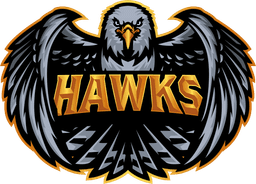 Hawks(rocketleague)