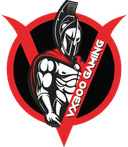 Vx300 Gaming (rocketleague)