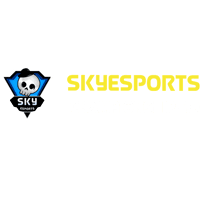 Skyesports Championship 2023: Emirati Qualifier