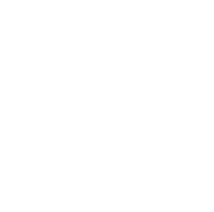 Demacia Cup 2021 - Playoffs
