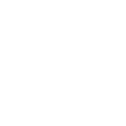Digital Bridge Esports Cup 2022