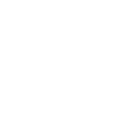 DreamLeague Season 19