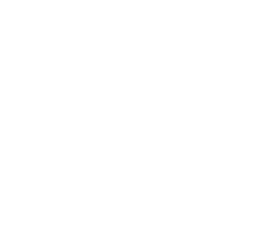 LFL Spring 2021 - Playoffs