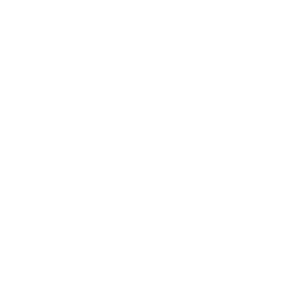 SEA Icon Series 2021: Fall - Indonesia