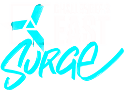 VALORANT Challengers 2023 East: Surge Split 2 - Playoffs